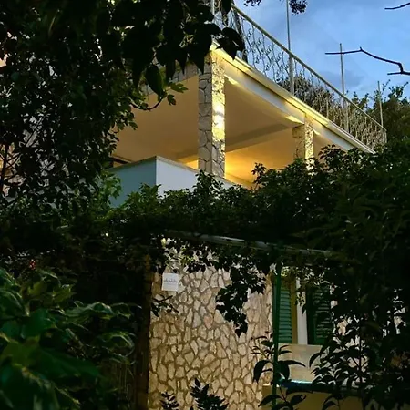 Lemon * 브랜지카