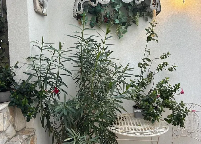 Lemon Apartman Seget Vranjica