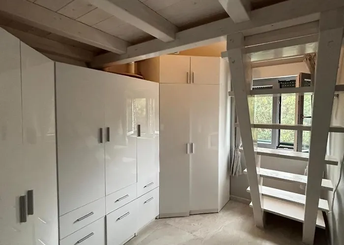 Lemon * Seget Vranjica