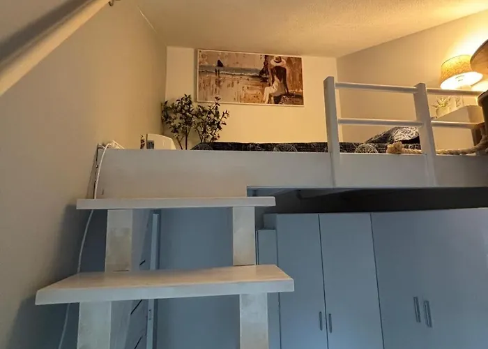 Lemon * セゲット・ヴラニツァ